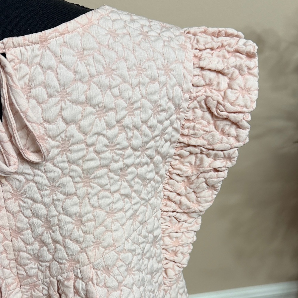 Pale Pink Textured Ruffled Sleeve Dress - Picture 12 of 16
